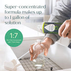 Puracy Multi-Surface Cleaner Concentrate - Plant-Powered All Purpose Cleaner - Surface Cleaner Solution As Seen on TikTok (Green Tea + Lime, 16 fl oz, 1 Pack)