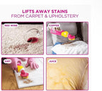 (Pack of 1) Carpet & Upholstery Cleaner, 16.9 fl oz, Dual-Action Stain Remover with Brush and Sponge.