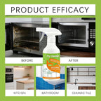 FlyCleanse Spray, FlyCleanse Kitchen Cleaner, Electrolyzed Ion Kitchen Cleaner Spray, Natural Enzyme Formula Liquid Cleaner for Household Appliances & Easy Cleaning Solution (1pc, 300ml)