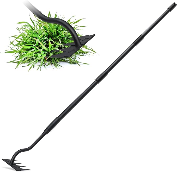 Weed Puller Tool, Garden Weeding Rake Tools with Detachable Long Handle, 56 inch Weed Remover Gardening Hand Tool for Lawn, Yard, atio and Backyard (4 Tines)