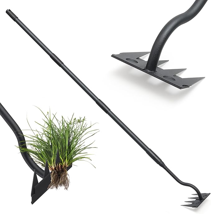 Manual Weeder Tool,4 Tines Garden Weeding Rake with Sharp Blade,55 Inch Long Handle,Heavy Duty Stand Weeding Tool for Weeding Loosening Soil Gathering Leaf Leveling Thatch Rake