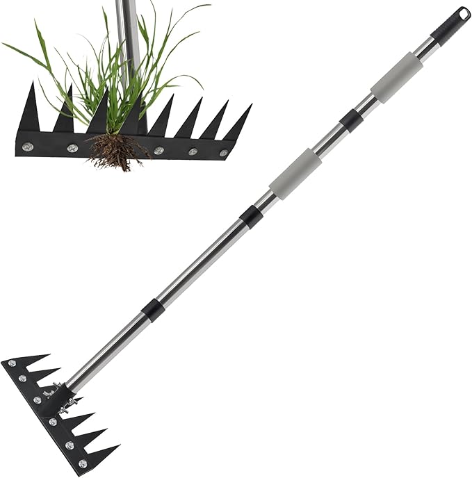 Weeding Rake Tool, Garden Weed Puller with Detachable Long Handle, 62 Inch Heavy Duty Hand Weed Remover Tool for Lawn, Yard, Atio and Backyard (7 Tines)