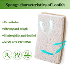Loofah Dish Sponges Kitchen,Organic Natural Sponges for Dishes,Non Scratch Eco Friendly Biodegradable for Cleaning,6PCS