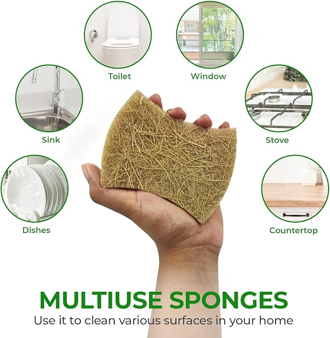 Biodegradable Natural Dish Sponges - Coconut and Cellulose - Eco Friendly Non-Scratch Heavy Duty Dish Scrubber - Pack of 12