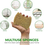 Biodegradable Natural Dish Sponges - Coconut and Cellulose - Eco Friendly Non-Scratch Heavy Duty Dish Scrubber - Pack of 12