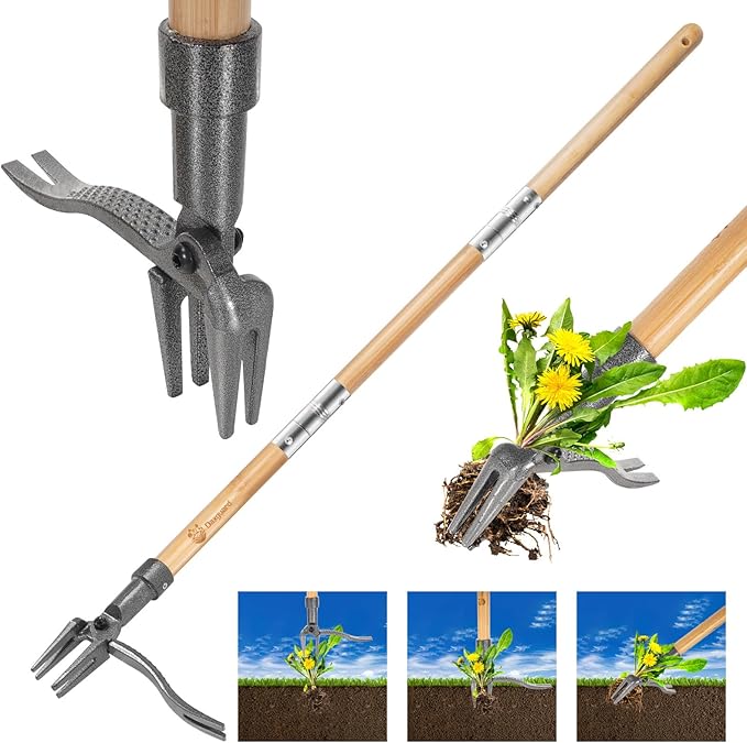 Weed Puller-Stand Up Weed Puller Tool,Adjustable 44-31.5" Bamboo Handle with Heavy Duty 4-Claw Cast Steel Head - Foot Step Design, No Bending Required - Garden & Yard Weeder