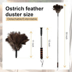 Extendable Ostrich Feather Duster 26-55 Inch, Natural Cleaning Duster with Sponge Grip and Stainless Steel Extension Pole Reusable for High Ceilings, Fans, Blinds, Furniture, Interior & Roof Dusting.