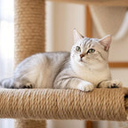 RIOOP Natural Jute Twine Rope 328 Feet 6mm, Heavy Duty Premium Garden Twine String for Crafts, Gardening Deals, Cat Scratching & Macrame Cord, for Climbing Plants, Halloween Decor