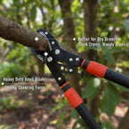 AGRICUT Extendable Garden Loppers Anvil - Tree Trimmer 2" Cut Capacity Hedge Clippers with Sharp High Carbon Steel Blade Hand Loppers for Cutting Branches