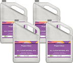 Commercial Industrial All Clean, Ready to Use Non-Toxic All-Purpose Cleaner & Degreaser, ECOLOGO Certified (4)