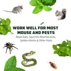 Mouse Repellent for Home and Garden Protection to Mouse, Squirrels, Roaches, Ants, Spiders, Moths and Other Pests