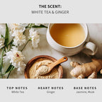 Lapew White Tea & Ginger Scented Mop Soap - Luxury Floor Cleaner Concentrate for Mopping Tile, Laminate, Vinyl & Hardwood | Streak-Free, Low-Foam | 36 oz