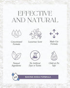 Home "Noir Luxe" Carpet Deodorizer Powder For Home, Upholstery, Pet Urine,Dog Bed/Cat Litter Box– Eliminates Odors Naturally, Pet-Friendly- Black Plum, Sea Salt, and Ozone