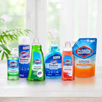 Clorox Foaming Glass Cleaner Aerosol | All Purpose Window And Glass Cleaner Spray | Washes Away Dirt | Streak-Free & No-Drip formula Glass Cleaners for Windows and Mirrors, 22 Oz - 1 Pack