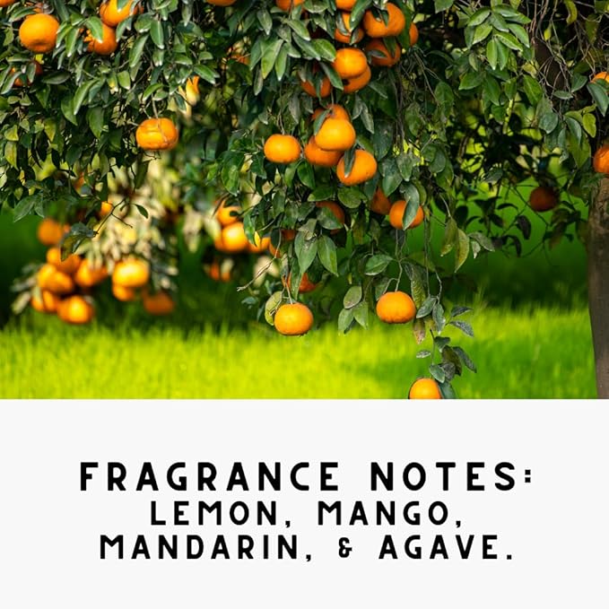 Home "Citrus" Lemon & Mango Carpet Deodorizer Odor Eliminato Powder For Home, Vaccuuming Upholstery, Pet Urine, Dog Bed/Cat Litter Box(Two Pack)