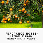 Home "Citrus" Lemon & Mango Carpet Deodorizer Odor Eliminato Powder For Home, Vaccuuming Upholstery, Pet Urine, Dog Bed/Cat Litter Box(Two Pack)