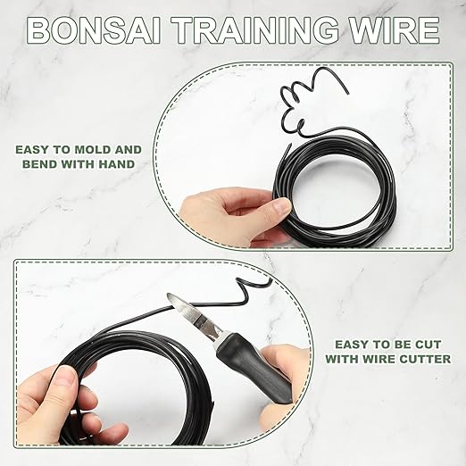 Bonsai Training Wire, 4mm x 16.4 ft Anodized Aluminum Floral Plant Training Wire Bendable Metal Stems Accessories for Gardening Branch Fixing Crafts (Black)