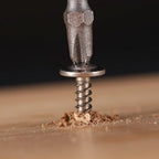 #8 x 5/8" Wood Screw 250Pcs 410 Stainless Steel Standard Thread Truss Head Fast Self Tapping by SG TZH