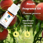 Peach Oil - Pure Organic Scent for for Aromatherapy, Diffusers, Spray, Skin & Hair Care, Massage, DIY Candles & Soap, Perfume - Fruity Fragrance, 10mL