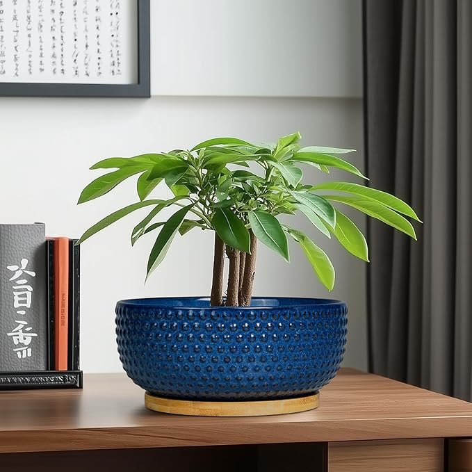 Bonsai Pots - 8 Inch Ceramic Pots for Succulent Plants & Bonsai Tree, Planter with Drainage Hole and Saucer, Modern Round Decorative Flower Planters, House Decor, Gifts for Women Man, Blue
