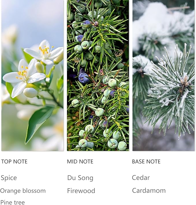 Hotel Waterless Diffuser Oil Winter Pine, Essential Scent Oil Usage Cold Air Waterless Diffuser, Luxury Scents Oils Fragrance Bottle120 ML Home Natural Flavour
