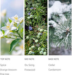 Hotel Waterless Diffuser Oil Winter Pine, Essential Scent Oil Usage Cold Air Waterless Diffuser, Luxury Scents Oils Fragrance Bottle120 ML Home Natural Flavour