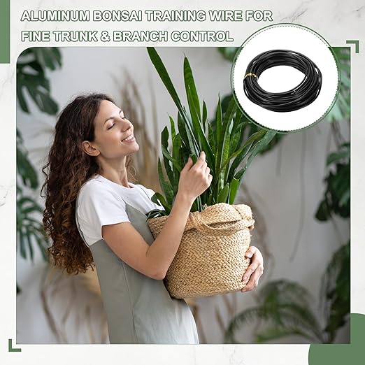 Bonsai Training Wire, 3 mm x 32.8 ft Anodized Aluminum Floral Plant Training Wire Bendable Metal Stems Accessories for Gardening Branch Fixing Crafts (Black)