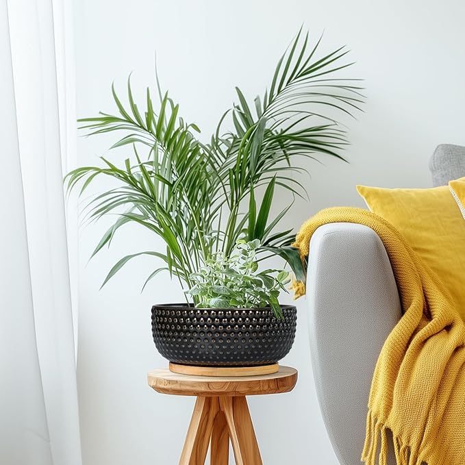 Bonsai Tree Pot - 8 Inch Ceramic Succulent Planters with Drainage and Plant Tray, Boho Round Shallow Bowl for Indoor Plants, Office Decor, Housewarming Gift, Black