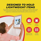 Qualihome Drywall Anchors Premium Quality Ribbed Lightweight Plastic Anchors for Hollow Walls – Wall Hanging Anchor Kit for Pictures, Artwork & Light Duty Anchoring Application (#10-12 x 1)