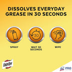 EASY-OFF Pro Fume Free Oven Cleaner, 24 oz., 2 Count
