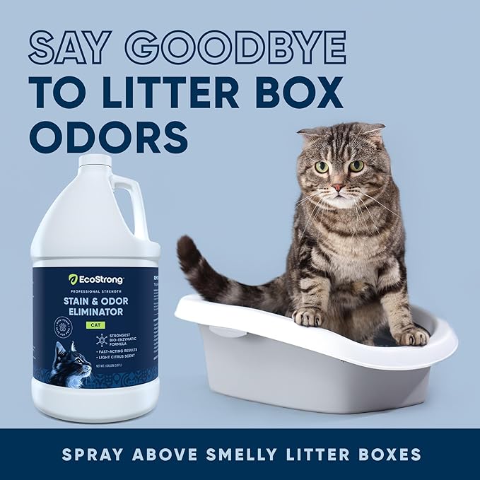 Cat Stain and Odor Remover| Enzyme Urine Odor Neutralizer - Stain Remover for Carpet, Litter Boxes, Bedding, and Laundry [160 Fl Oz Bundle]