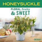 MRS. MEYER'S CLEAN DAY Liquid Dish Soap, Biodegradable Formula, Honeysuckle, 16 fl. oz - Pack of 3