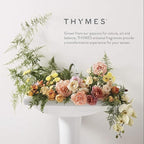 Thymes Countertop Spray - Counter Cleaner Spray - Household Cleaning Supplies (Lemon Leaf, 16.5 fl oz) (Pack of 2)