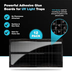 Catchmaster Vector Universal Replacement Glue Boards White, UV Light Fly Trap for Home, Unscented Gnat Traps for House, UV Lamp Insect & Mosquito Killer Refill, Adhesive Bug Light Boards, 12-Pack