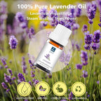 Lavender Essential Oil - Pure Organic Lavender Oil for Skin, Hair, Diffuser, Spray, Roll On, Body Massage - Floral Scent, 10mL