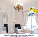 Sparkle Plenty Chandelier Cleaner Drip Dry Spray No Wipe Bundle - Silk Plant Cleaner Spray No Wipe - Dust Cleaning Supplies for Fake Plant, Artificial Flower, Shower Glass or Window Screen (32 oz)