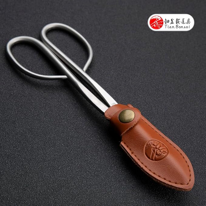 Bonsai Scissors Professional Grade Bonsai Shears Alloy Steel Bonsai Tools Equip With Tool Bag (MT-LBS-210)