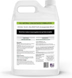 Natural Armor Lizard & Gecko Repellent Spray - Powerful Peppermint Formulation Repels All Types of Lizards & Geckos and Works Better Than Ultrasonic Gimmicks – 128 fl oz - Gallon Ready to Use