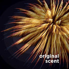 PULSE Non Stops Laundry Scent Boosters - Original Scent - Scent Boosting Beads - Long Lasting Fragrance (20.1 oz)