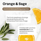 ATTITUDE All-Purpose Cleaner Spray, Plant-Based Ingredients, EWG Verified, Streak Free, Ammonia Free, Removes Fingerprints, Dust and Dirt, Sage & Orange, 26 Fl Oz