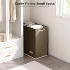 SOLEDI Large Double Laundry Hamper with Lid, Collapsible Clothes Hamper 2 section with Removable Bags, Space-Saving Laundry Basket for Bedroom, Dorm, College