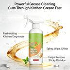 Kitchen Appliance Cleaner Spray, Fly Kitche Cleanse Spray, Electrolyzed Ion Kitchen Cleaner Spray,Multi Purpose Household and Kitchen Cleaning Spray, Clean Up Kitchens Oil Stains (2PCS)