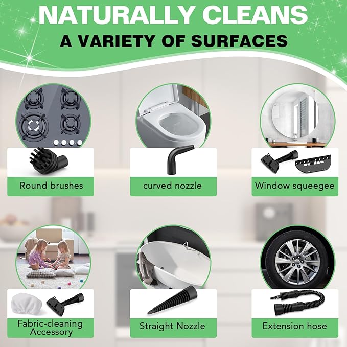 Steam Cleaner, Handheld Pressurized Steamer with 10-Piece Accessory Set, Multipurpose Portable Upholstery Steamer Cleaning with Safety Lock, All Natural Steam Cleaner for Home, Upholstery, Car, Floor