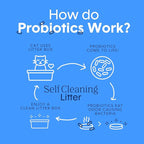 Boxie Probiotic Cat Litter, 30 Day Odor Control, Clumping Clay Kitty Litter, Odor Eliminating Probiotics, Dust-Free, No Fragrances No Fillers, 16 lb