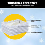 Catchmaster Freeze Resistant Glue Traps 6PK Mouse Traps Indoor for Home, Pest Control Adhesive Tray, Catch Bugs, Crickets, Spiders & Rats, Glue Boards for Cold Weather, House, Shed & Garage
