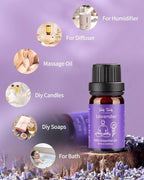 VTS Essential Oils Set (6 x 10ml) - Lavender, Peppermint, Eucalyptus, Tea Tree, Geranium, Rosemary, Aromatherapy Oils Gift Set for Home Diffusers, Skin & Hair Care, Soap & Candle Making, Humidifiers