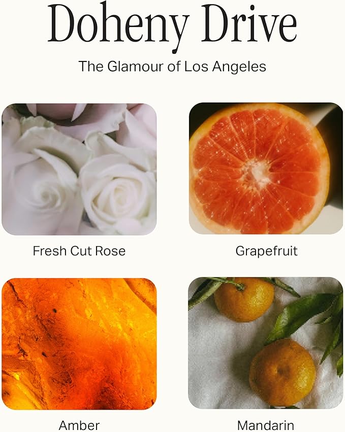 Signature Set, Includes All Purpose Cleaner, Dish Soap, Hand Wash, Hand Cream, & Scented Candle, Doheny Drive