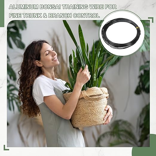 Bonsai Training Wire, 1mm x 32.8 ft Anodized Aluminum Floral Plant Training Wire Bendable Metal Stems Accessories for Gardening Branch Fixing Crafts (Black)