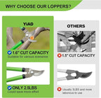Pro Pruning Shears - Heavy Duty Garden Shears with SK-5 Steel Blades, Ergonomic Non-Slip Handle Tree Branch Cutter & Flower Arranging Tool