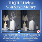 HIQILI Beach Walk Fragrance Oil 100ml for Diffuser Car Freshies, Clean Fresh Scent for Candle Making Soap Laundry 3.38 Fl Oz